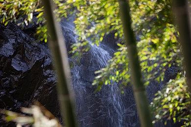 可爱风视觉小说《夏恋幻梦》上架Steam 今年上市
